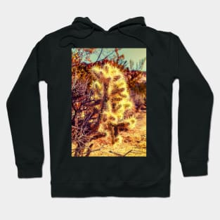 Glowing Cactus At Joshua Tree National Park Hoodie